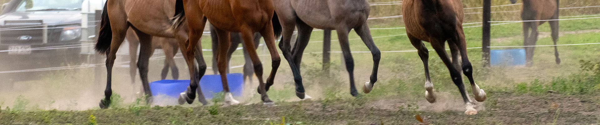 RACING